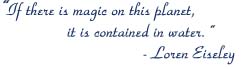 If there is magic on this planet, it is contained in water.  -Loreen Eiseley